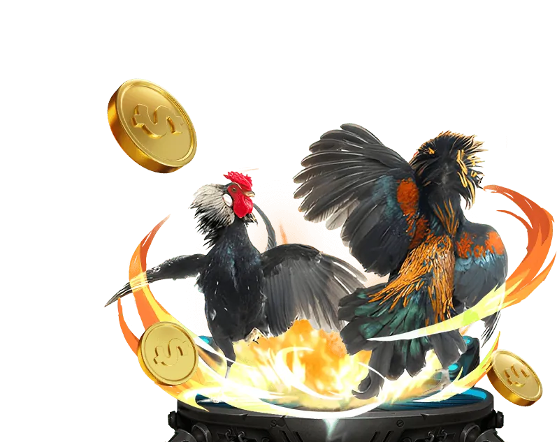 Phân tích chiến lược cá cược đa gà